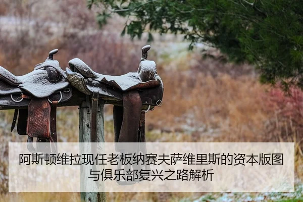 阿斯顿维拉现任老板纳赛夫萨维里斯的资本版图与俱乐部复兴之路解析
