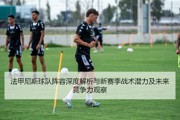 法甲尼斯球队阵容深度解析与新赛季战术潜力及未来竞争力观察