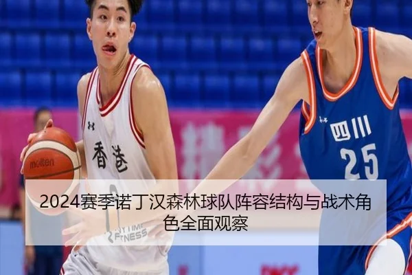 2024赛季诺丁汉森林球队阵容结构与战术角色全面观察